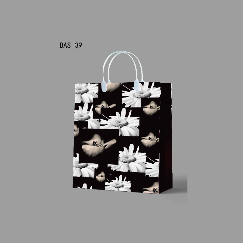 塑料手提袋（dài）