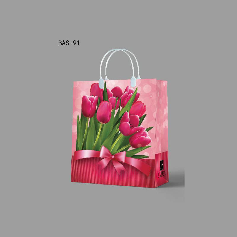 塑料手提袋（dài）