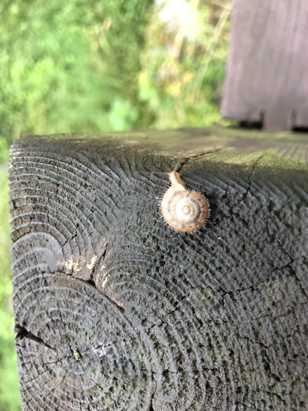 微信圖片_20180529152810